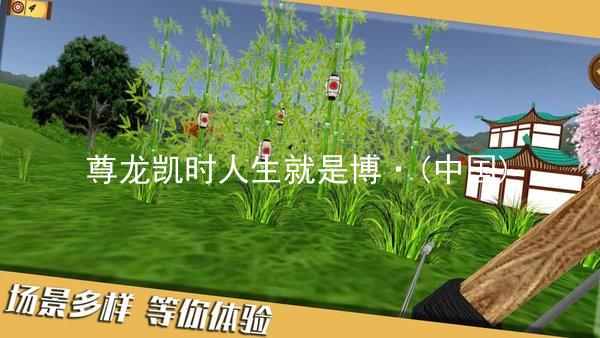 尊龙凯时人生就是博·(中国)