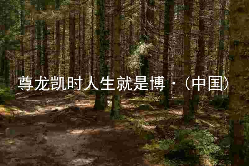 尊龙凯时人生就是博·(中国)