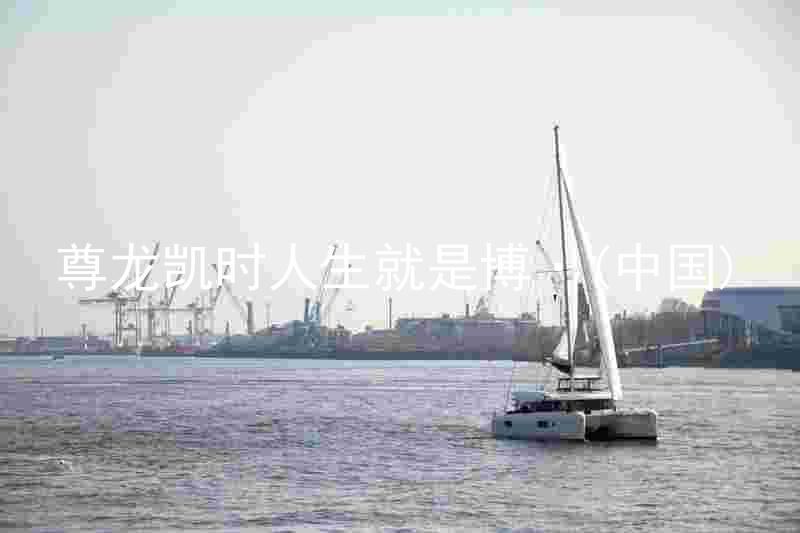 尊龙凯时人生就是博·(中国)