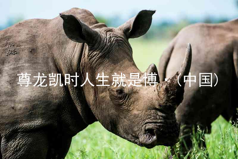 尊龙凯时人生就是博·(中国)