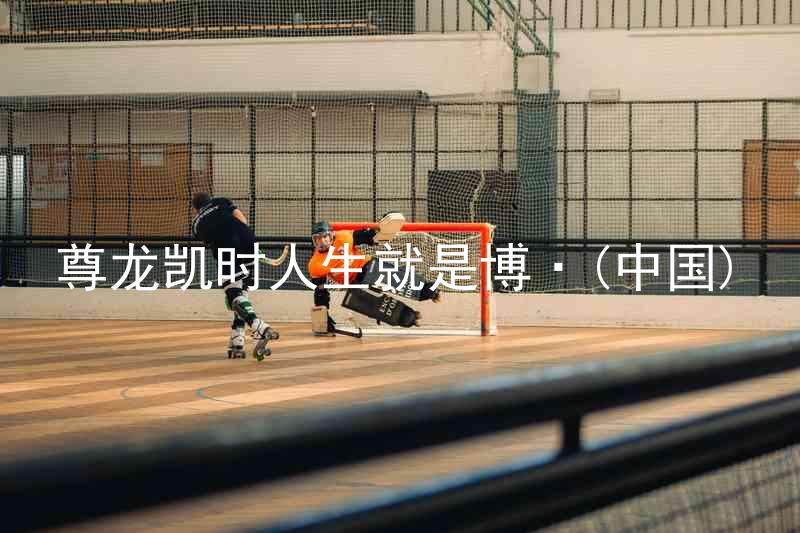 尊龙凯时人生就是博·(中国)